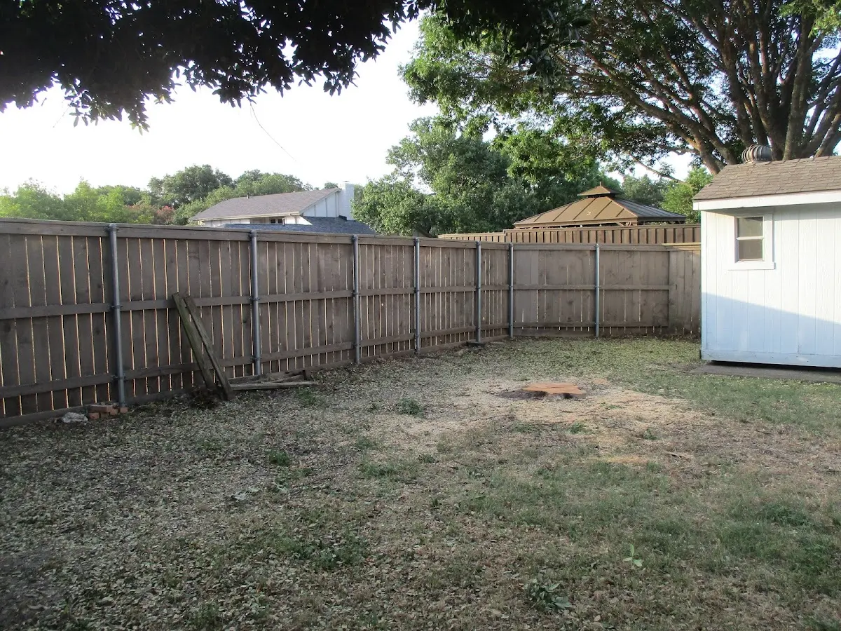 Cleared yard after professional tree removal in Martinsburg